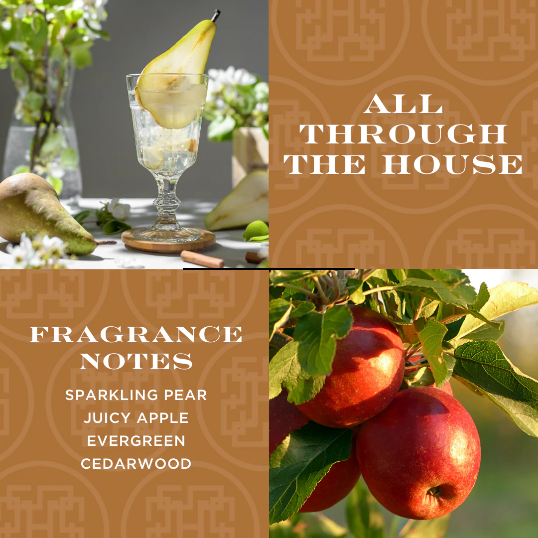 All Through the House 80 oz. 5-Wick Luxe Candle - Image 6