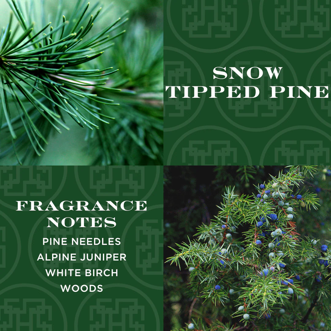 Snow Tipped Pine 4-wick Candle - Image 2