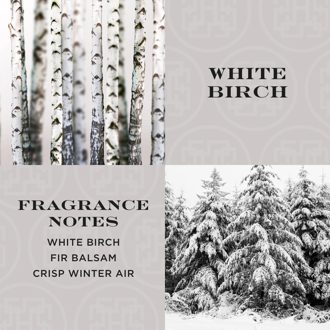 White Birch Reed Diffuser - Image 2
